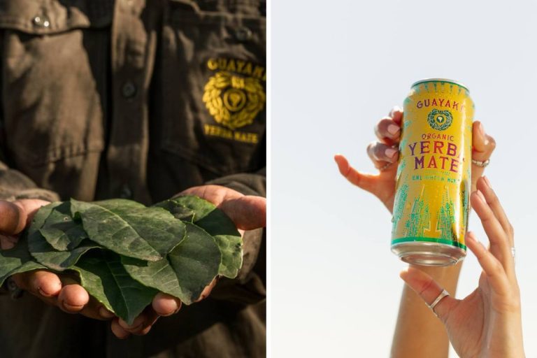 Guayaki firma acuerdo con productores de yerba orgánica en Misiones