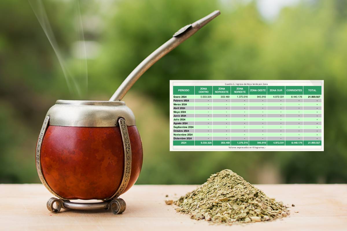 consumo de yerba en argentina en enero 2024