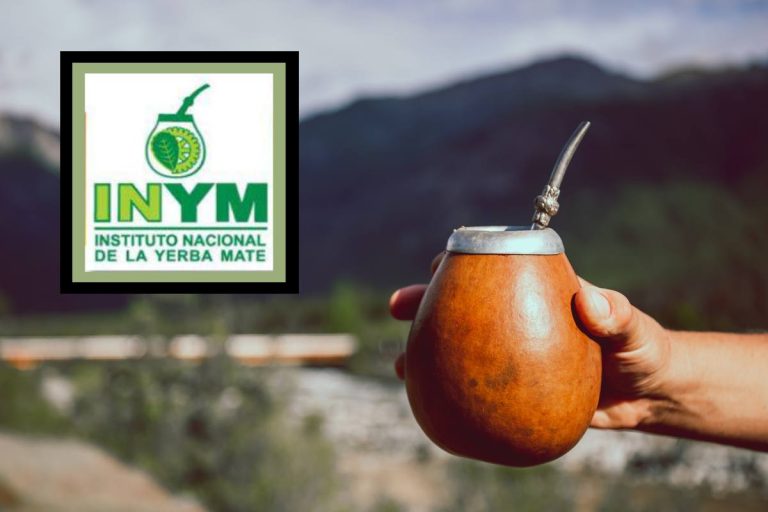 Consumo de yerba mate en noviembre 2023: kilos vendidos, cosechados y exportación