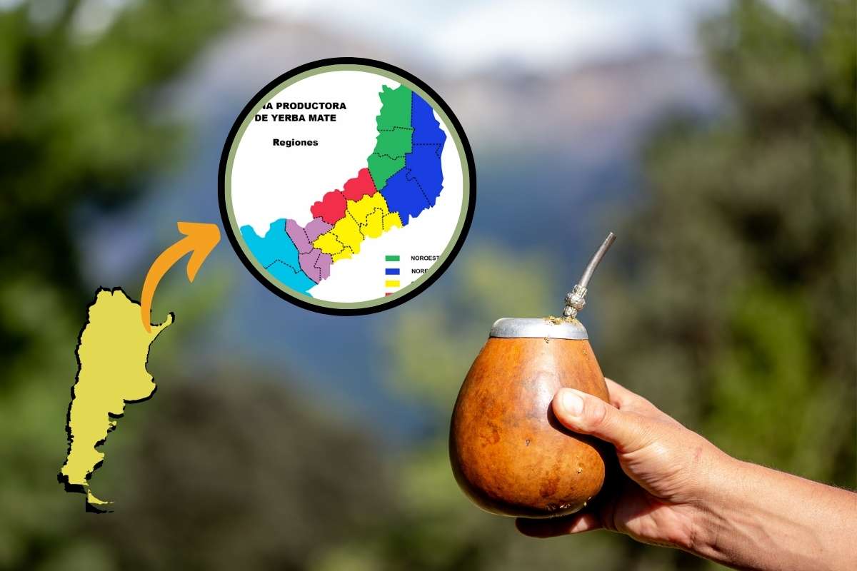 donde se produce yerba mate en argentina