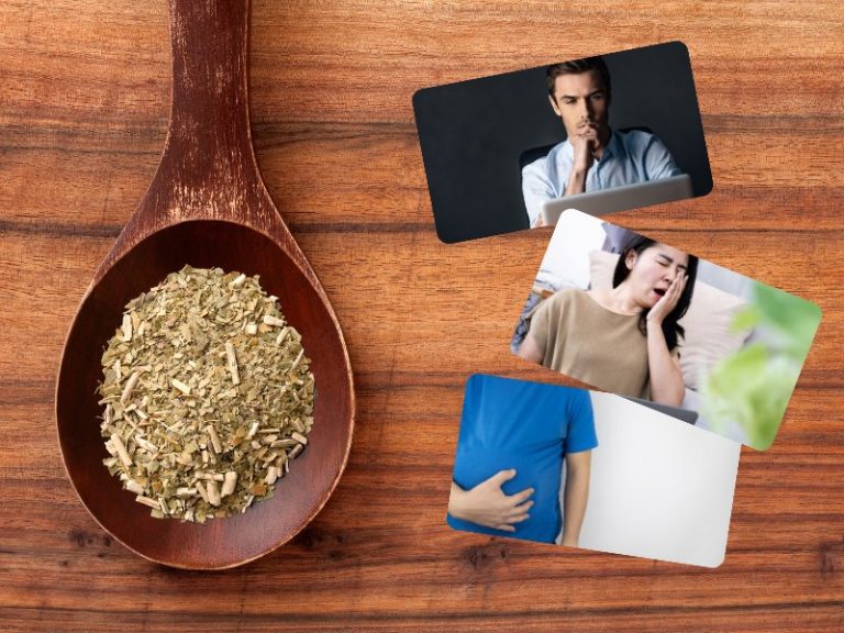 ¿Para qué sirve la yerba mate? 7 beneficios