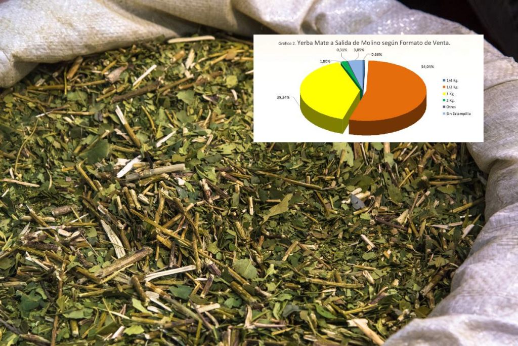 Producción de yerba en el primer trimestre de 2024