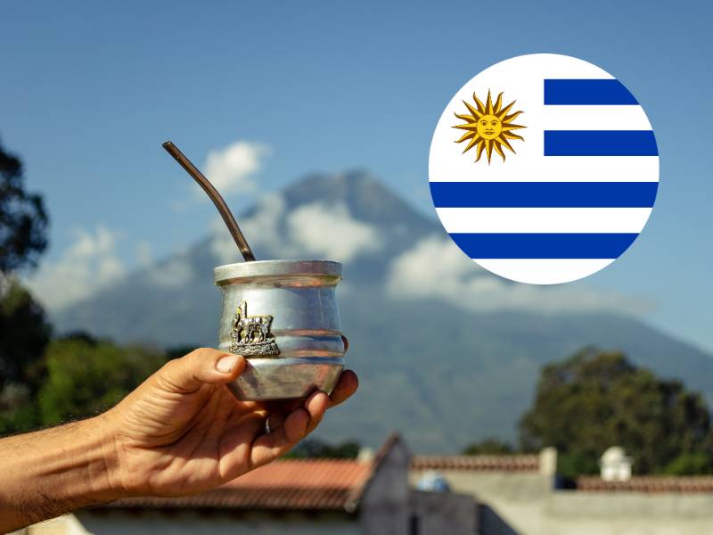 que yerba se produce en uruguay