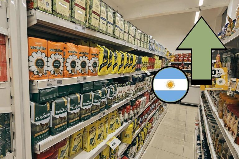 Récord histórico de venta de yerba mate en 2023 en Argentina