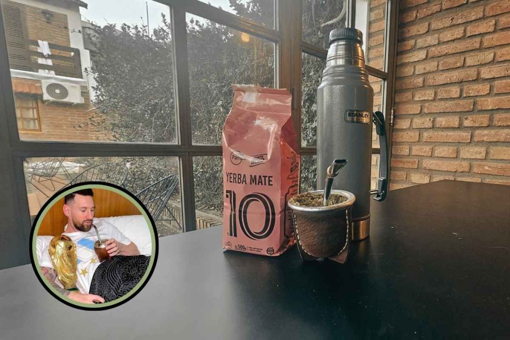 yerba mate el 10 review