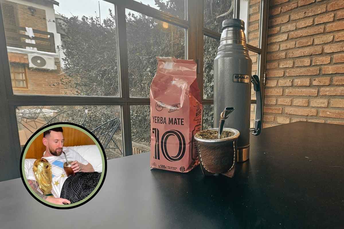 yerba mate el 10 review