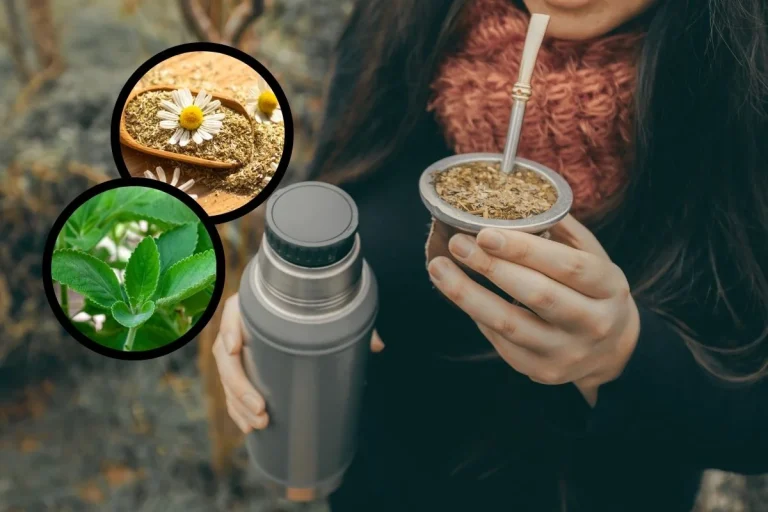 Yuyos para el mate: 12 opciones para mejorar tu salud (y tus mates)